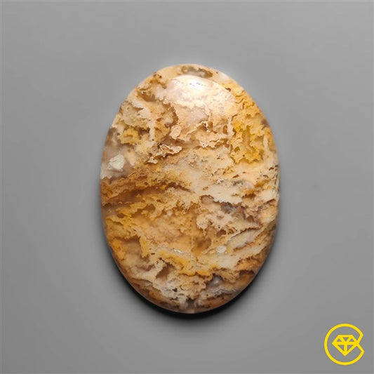 Plume Agate