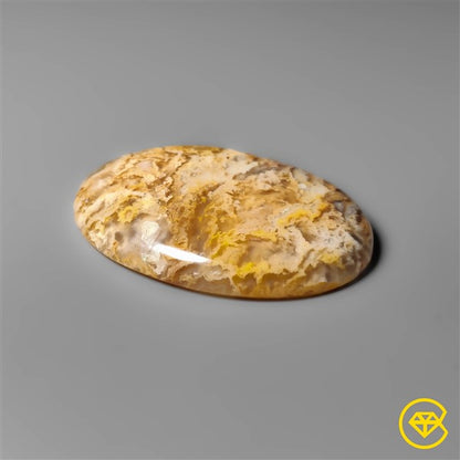 Plume Agate