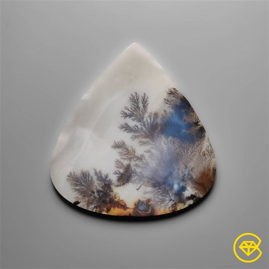 Scenic Agate