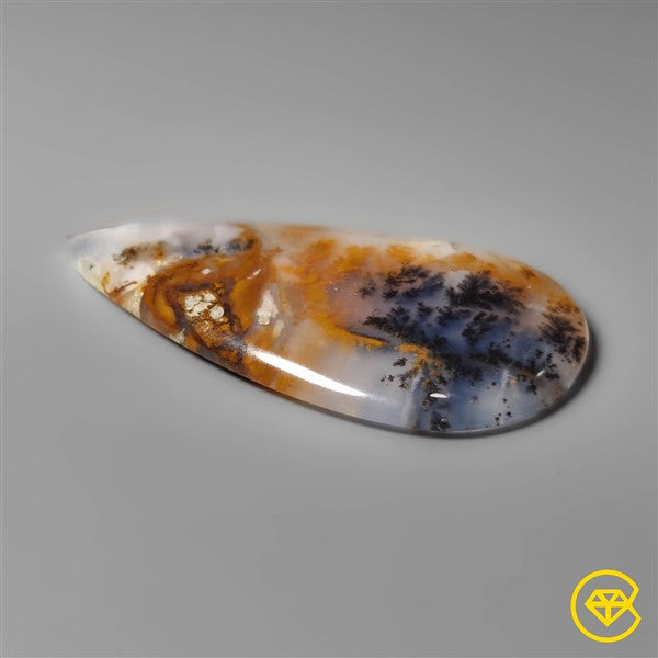 Dendritic Agate