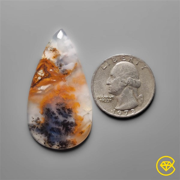 Dendritic Agate