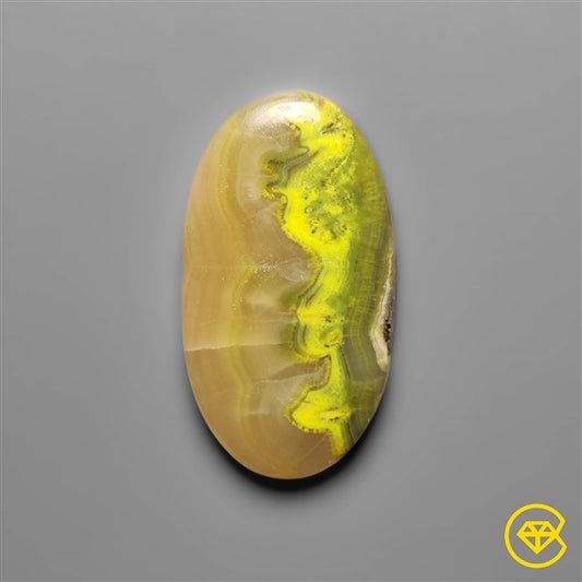 Bumble Bee Jasper
