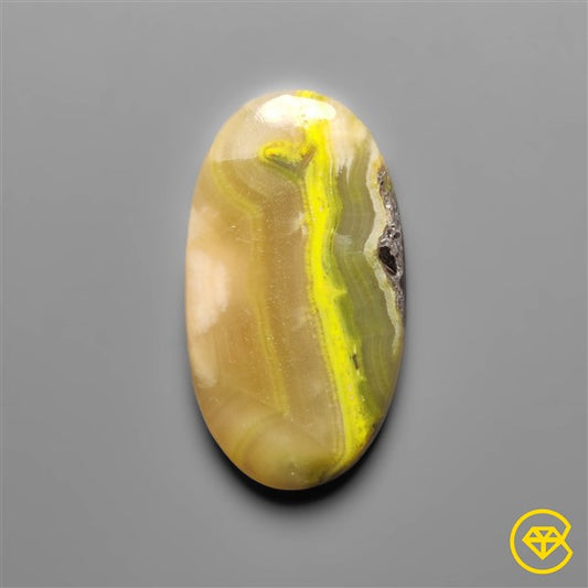 Bumble Bee Jasper