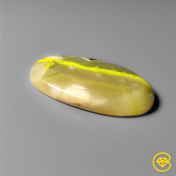 Bumble Bee Jasper