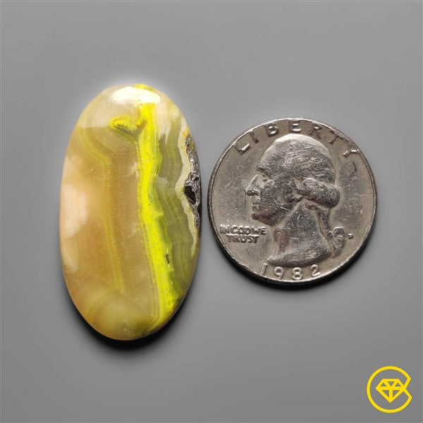 Bumble Bee Jasper