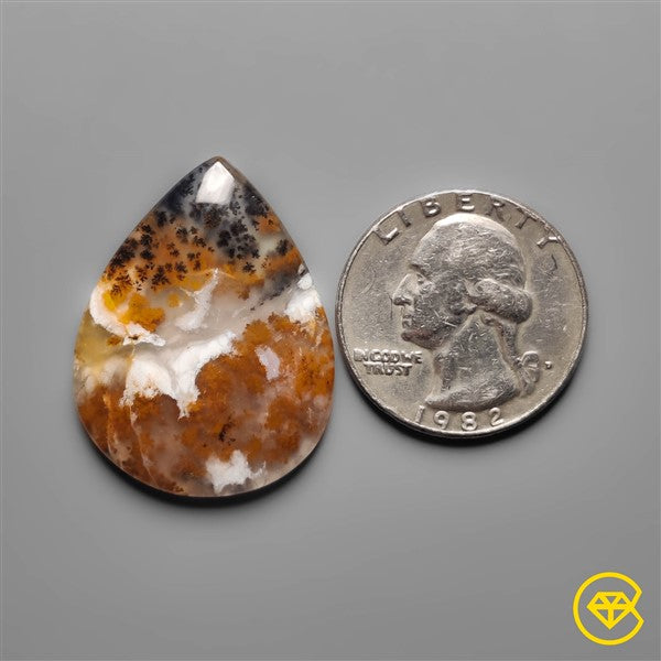 Dendritic Agate