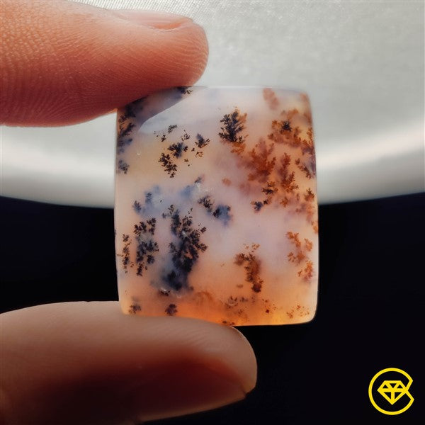 Scenic Agate