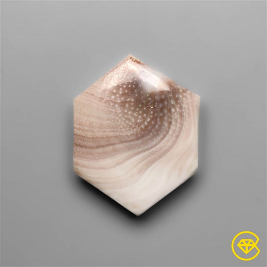 Shiva Eye Shell