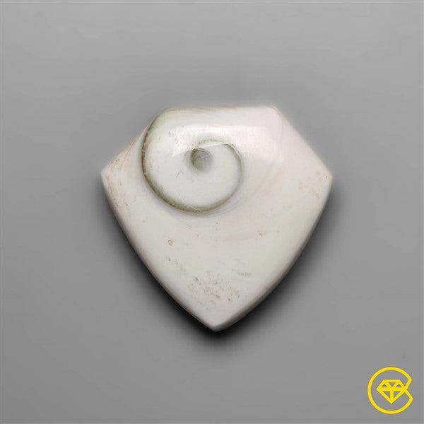 Shiva Eye Shell