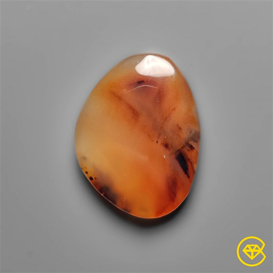 Montana Agate