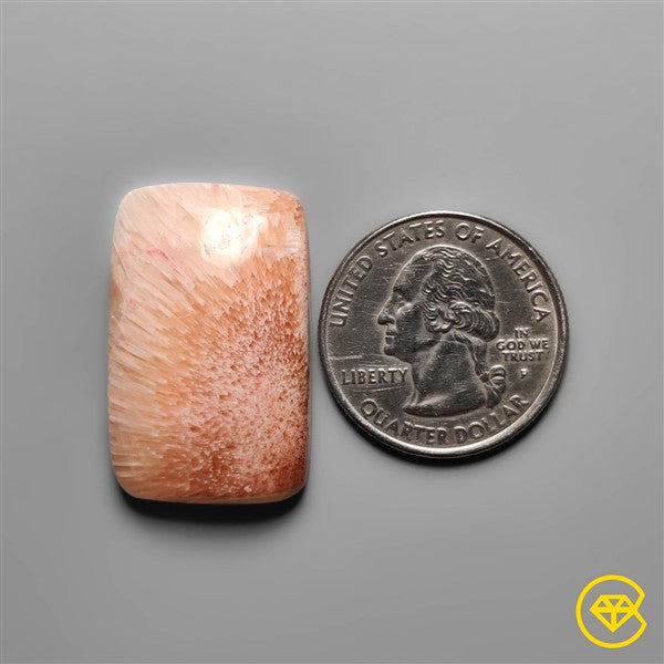 Scolecite