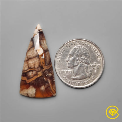Peanut Wood Jasper