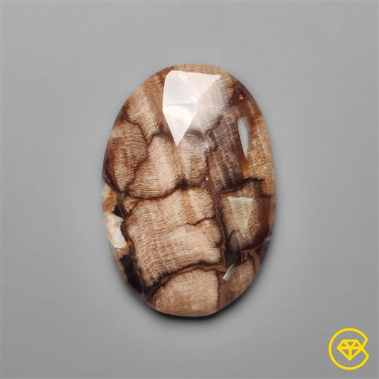 Peanut Wood Jasper
