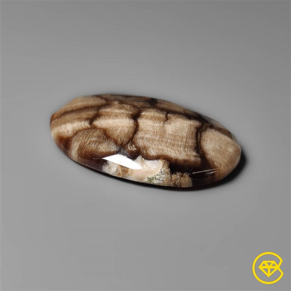 Peanut Wood Jasper