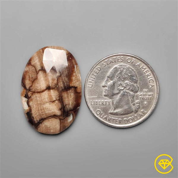 Peanut Wood Jasper