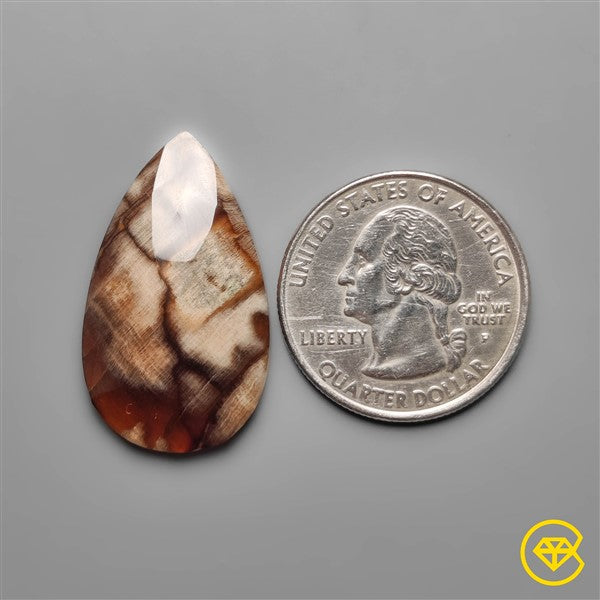 Peanut Wood Jasper