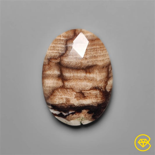 Peanut Wood Jasper