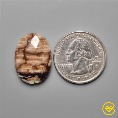 Peanut Wood Jasper