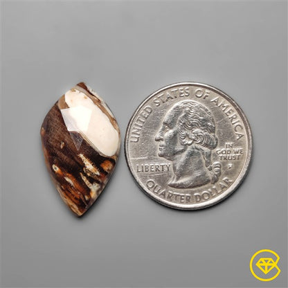 Peanut Wood Jasper