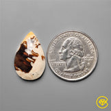 Peanut Wood Jasper