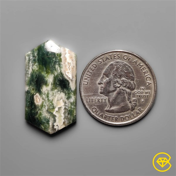 Ocean Jasper