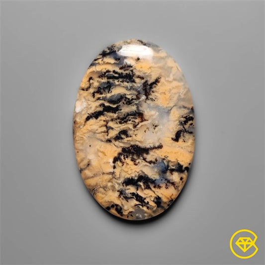 Dendritic Agate