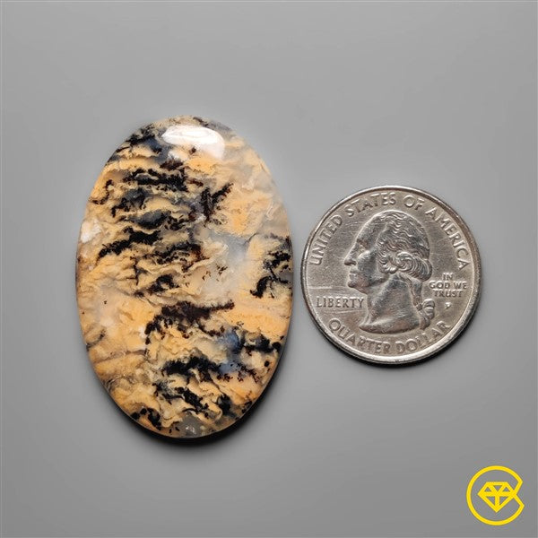 Dendritic Agate