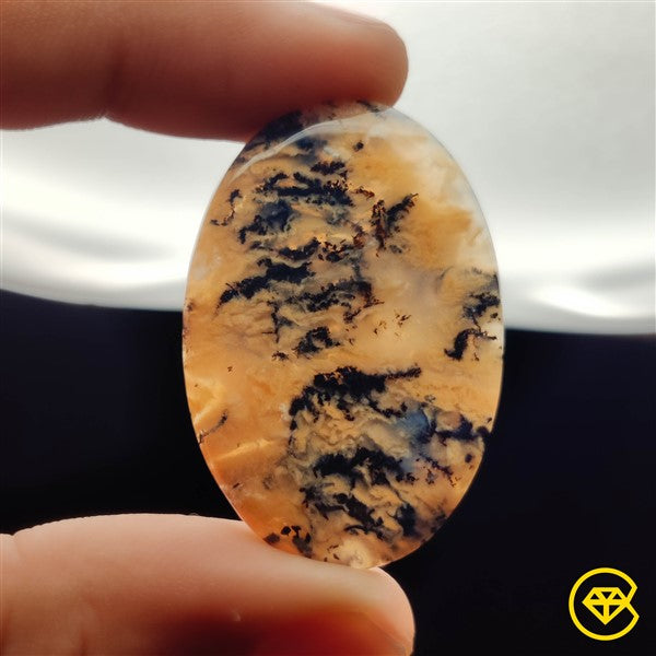 Dendritic Agate