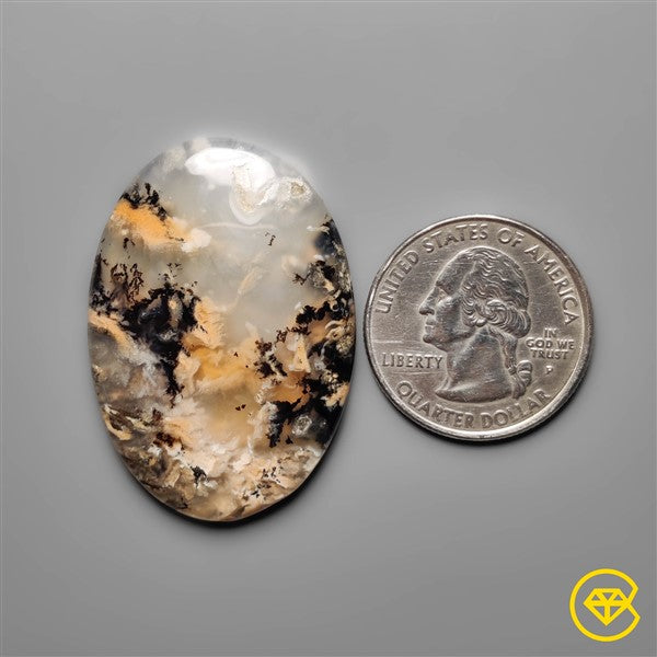 Dendritic Agate