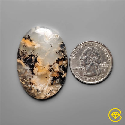 Dendritic Agate