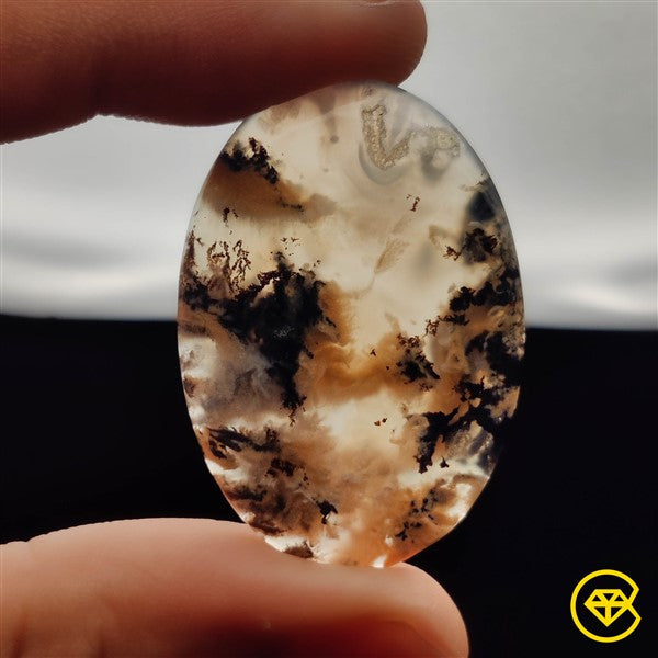 Dendritic Agate
