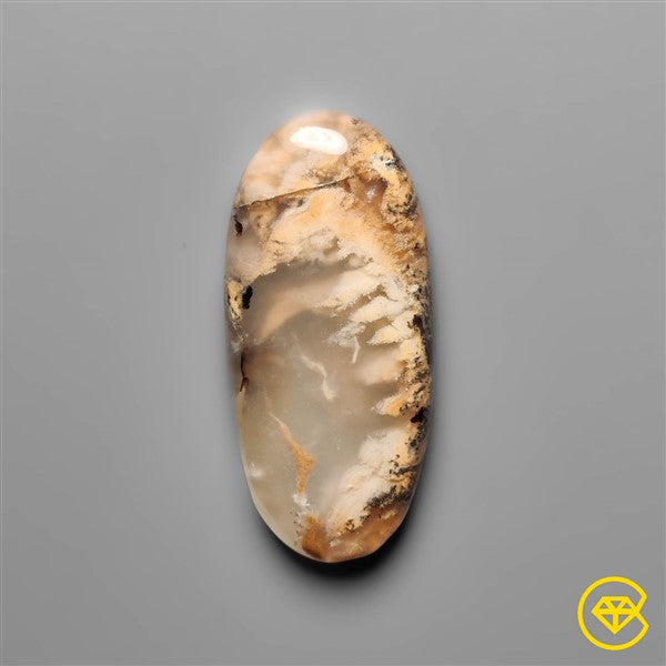 Dendritic Agate