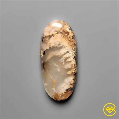 Dendritic Agate