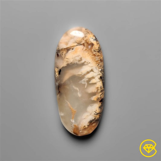 Dendritic Agate