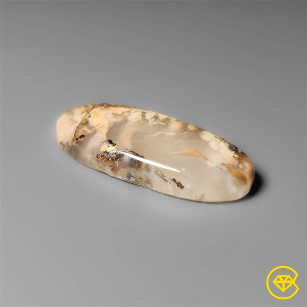 Dendritic Agate
