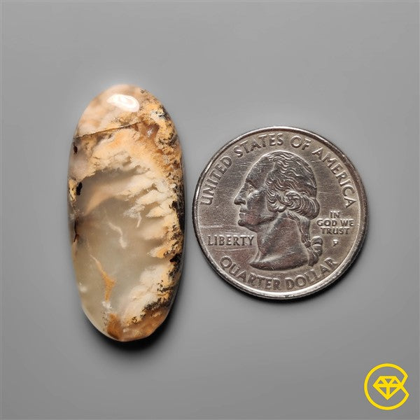 Dendritic Agate