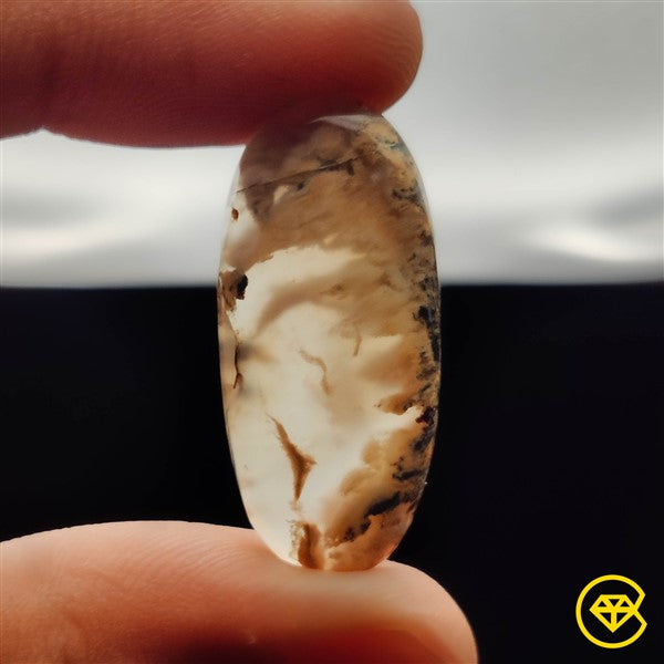 Dendritic Agate