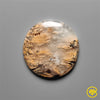 Dendritic Agate