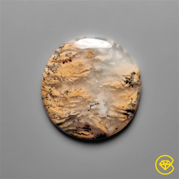 Dendritic Agate