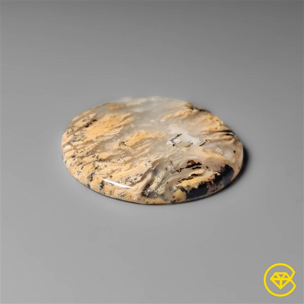 Dendritic Agate