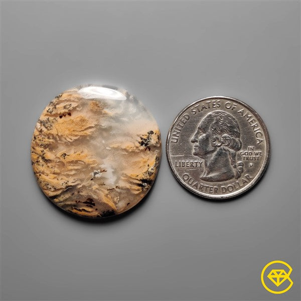 Dendritic Agate