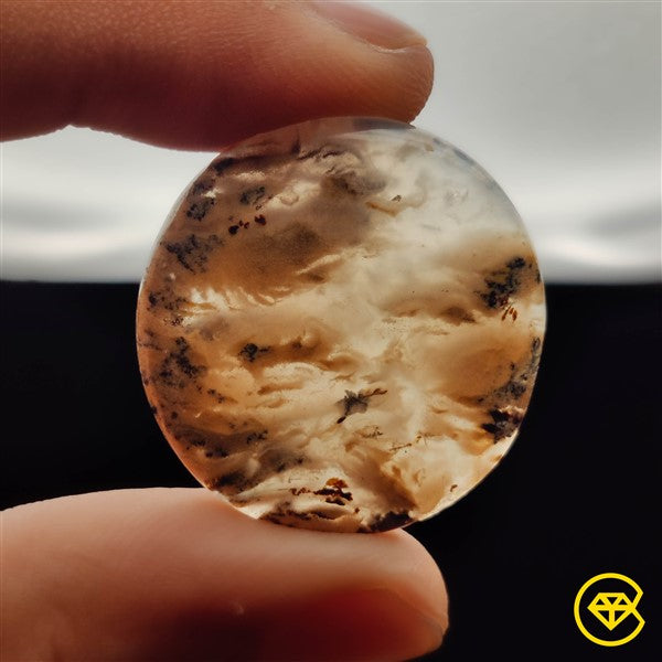 Dendritic Agate