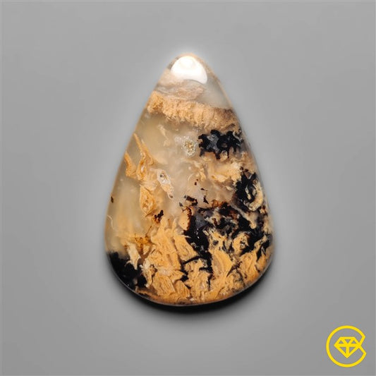 Dendritic Agate