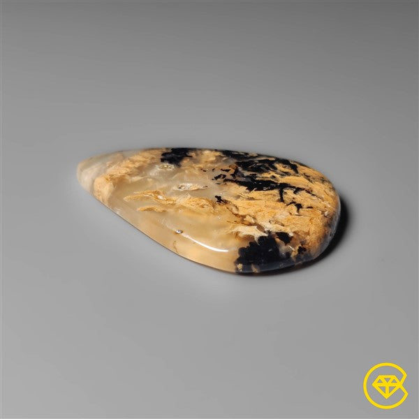 Dendritic Agate