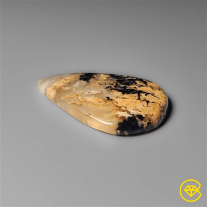 Dendritic Agate