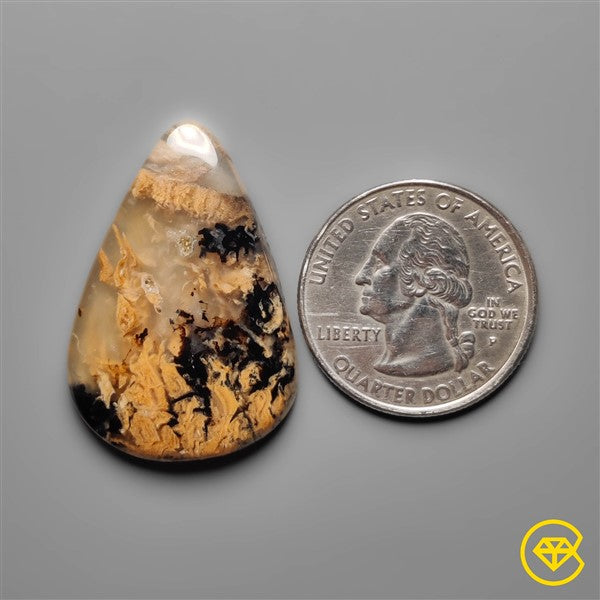 Dendritic Agate