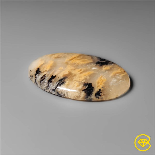 Dendritic Agate