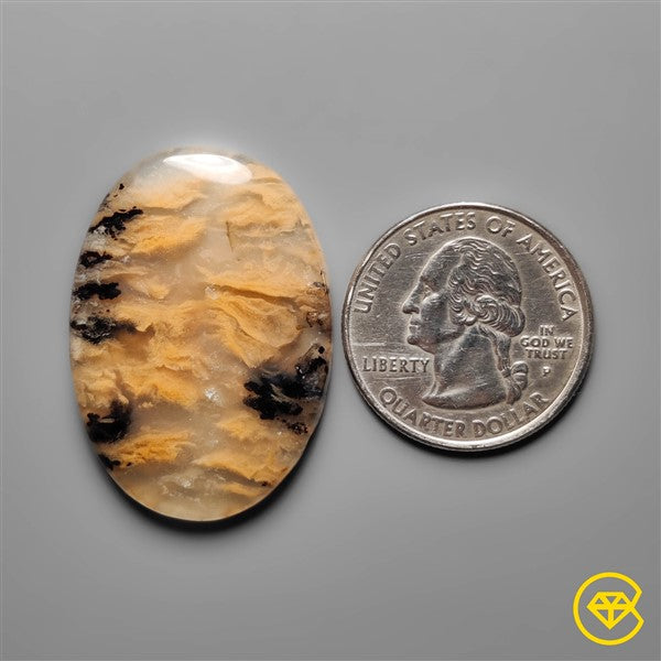 Dendritic Agate