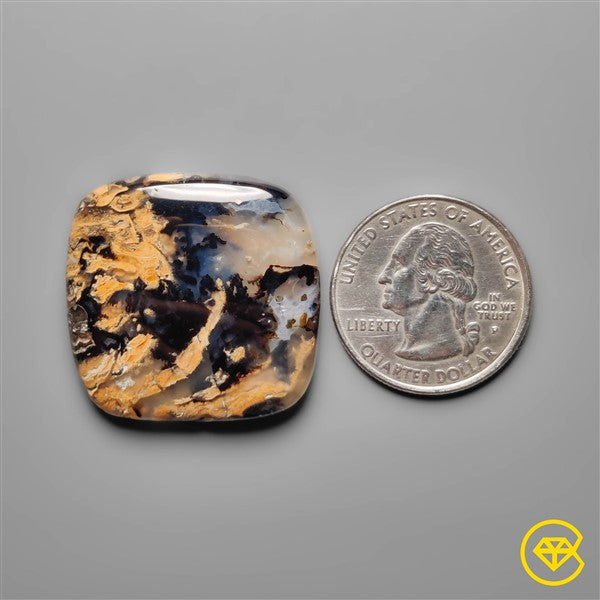 Dendritic Agate