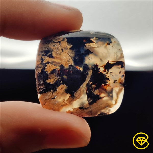 Dendritic Agate